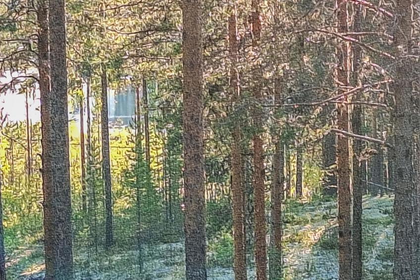 Rokua vaulutupa - foto 20