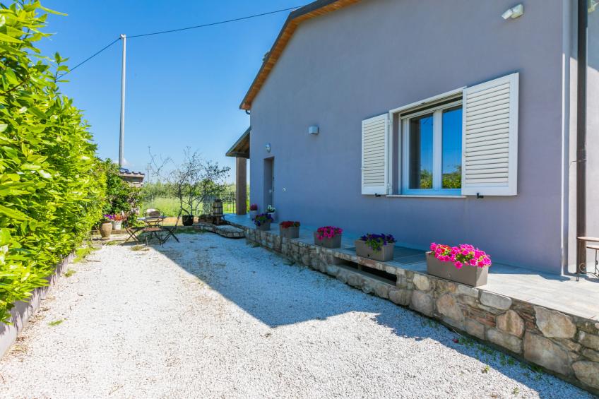 Garden - foto 46