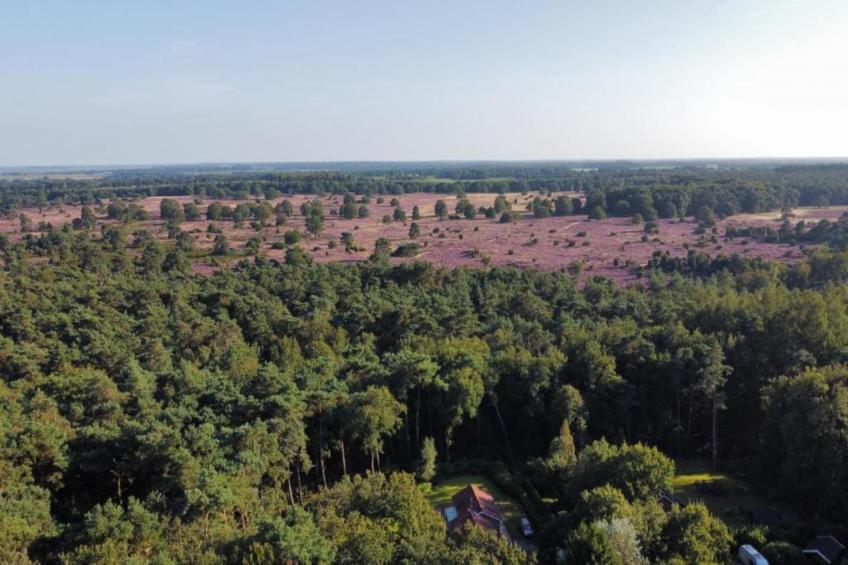 Vakantiepark Hunzedal 14 - foto 8