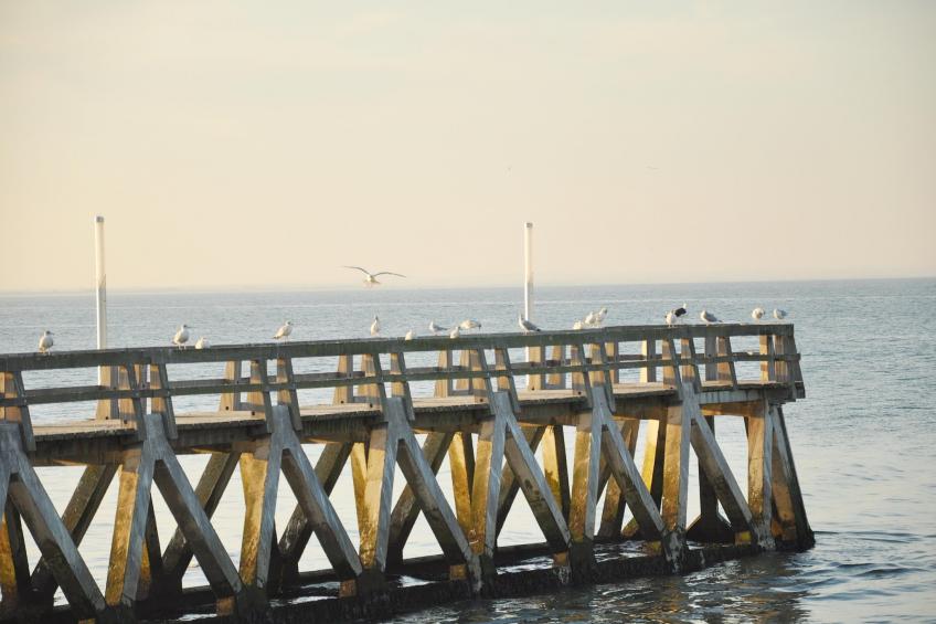 Gite Le Jonquet - foto 30