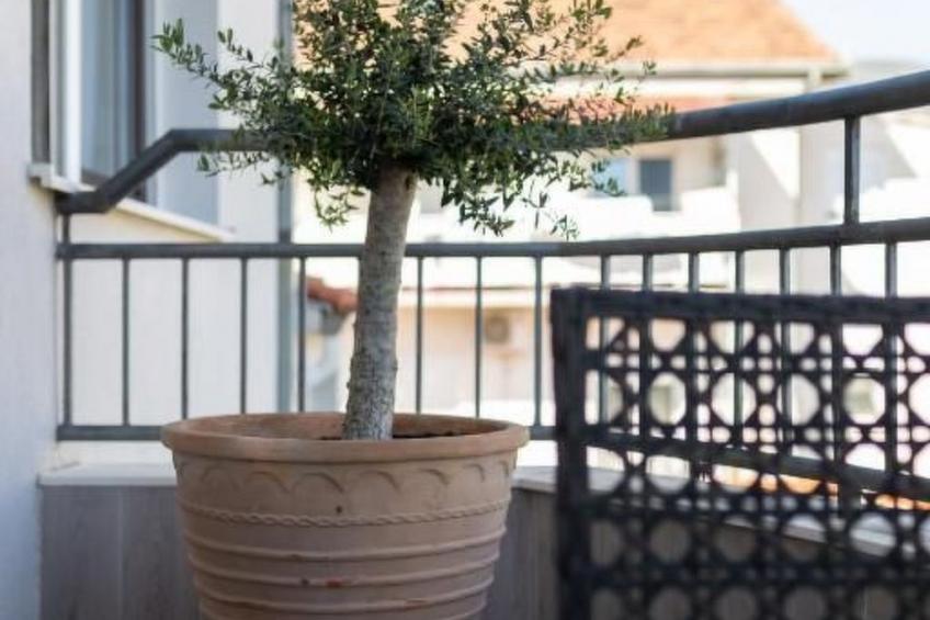 "Florami" mit Dachterrasse - foto 27