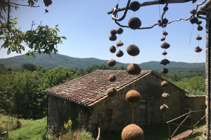 Charmantes Ferienhaus in Ciciano mit Grill, Garten und gemeinsamem Pool und Pan - foto 39