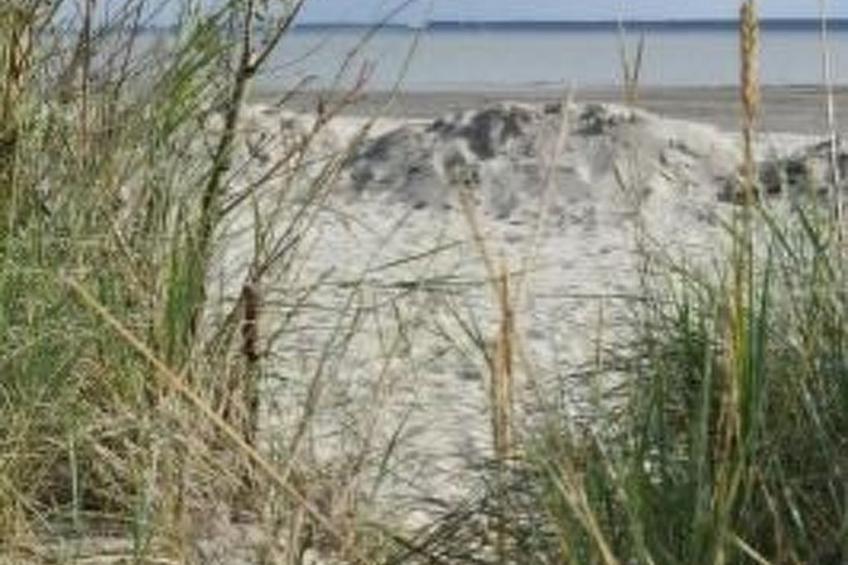 Kleines Haus mit Garten, direkt hinter dem Deich - foto 21