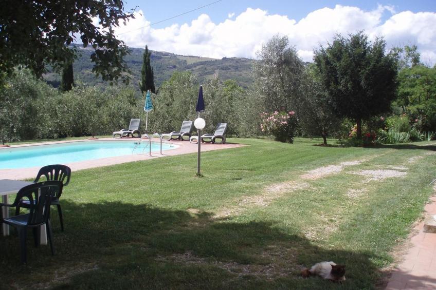 'Fasan' mit Balkon - foto 34