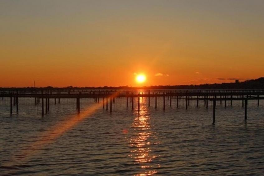 Terra Gaïa - foto 36