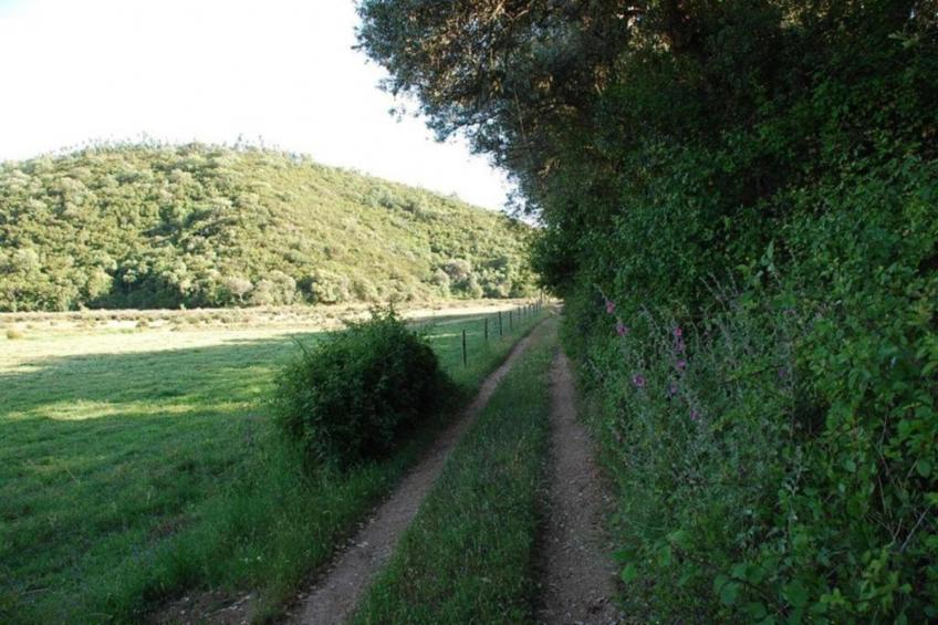 Casa do Tanque - foto 23