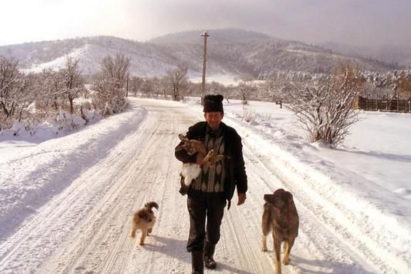 Casa Zollo 2 - kuschelige Fewo in den Hügeln - foto 50