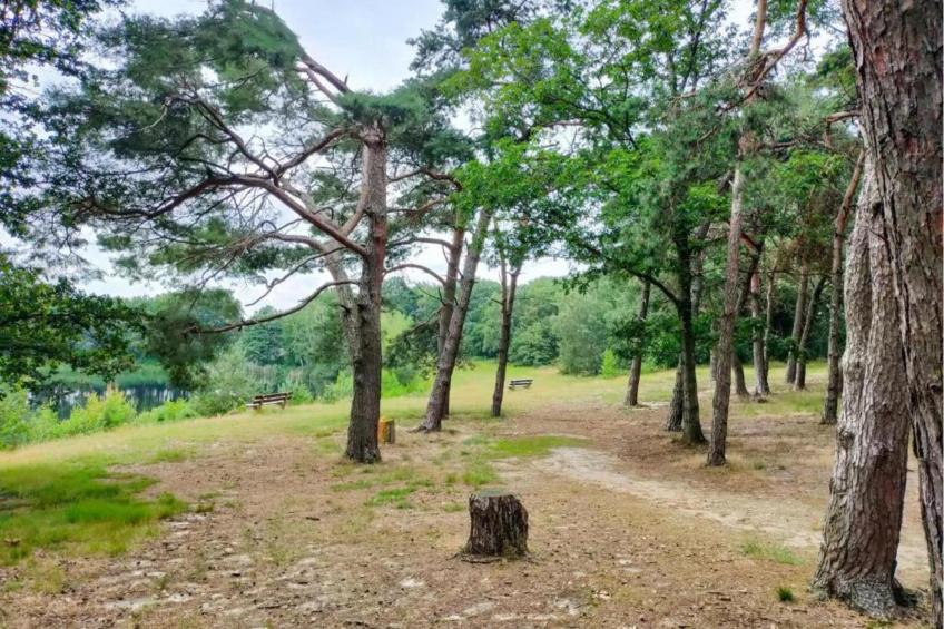 Vakantiepark Leukermeer 7 - foto 37