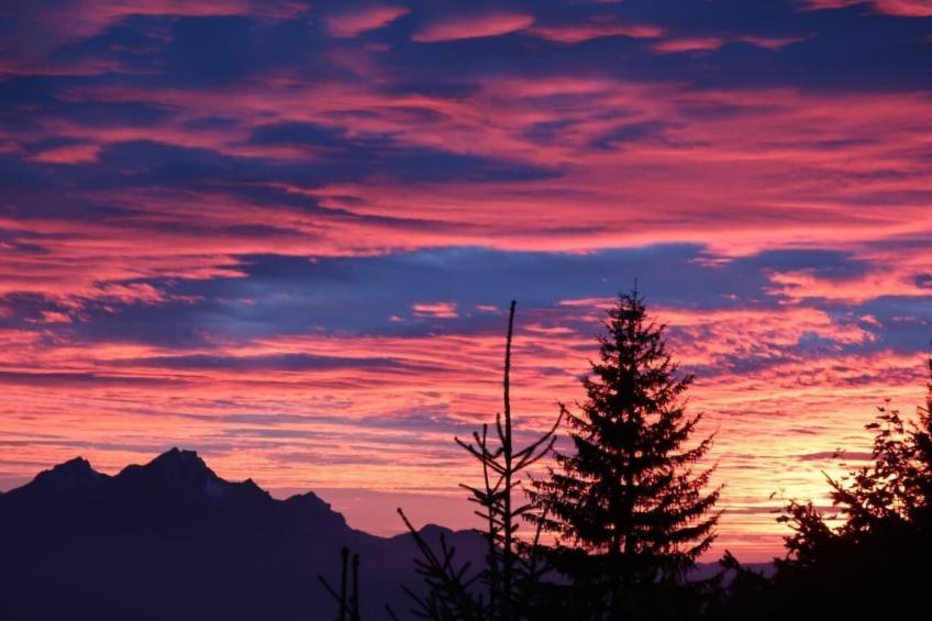 be und mee - foto 19