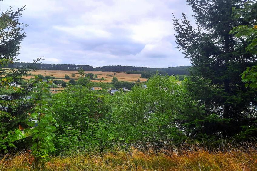 Skjoldenhof - foto 24