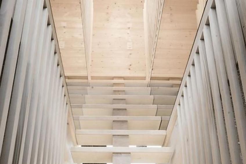 Mayen an Olivier - foto 7