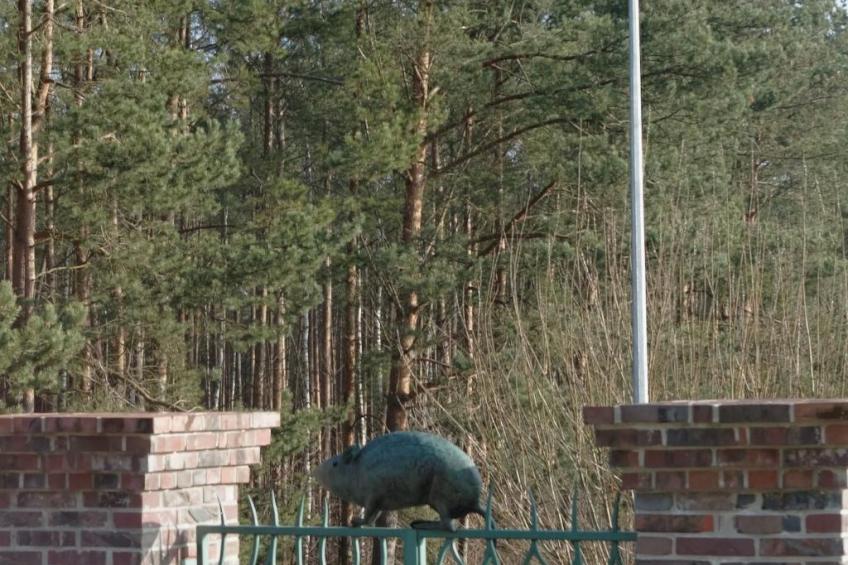 in ruhiger Lage am Waldrand - foto 11