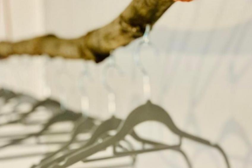 FeWo Oberwinter Bonn - foto 26