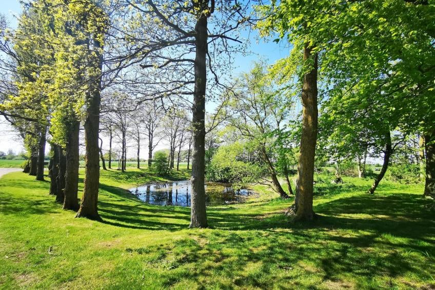 Inselresort Thor Heyerdahl - foto 21