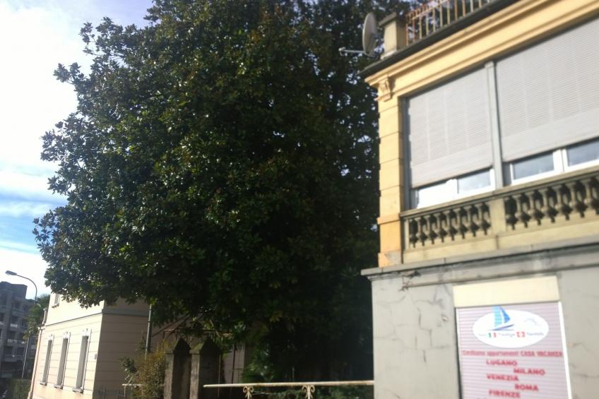 Lago 2 Executive Stadtzentrum - foto 32