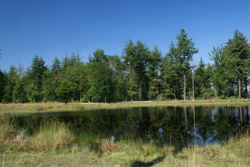 Geschmackvoll eingerichtetes Bauernhaus aus dem 19. - foto 5