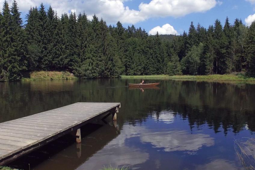 für 4 Personen im Bayerischen Wald - foto 20