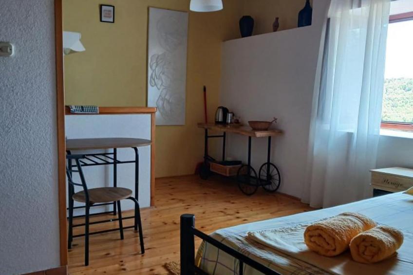 Apartmani Green Oasis - Studio Apartment with Terrace and Sea View - foto 7