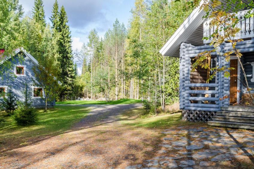 Koli, cjoe067 metsätähti - foto 22