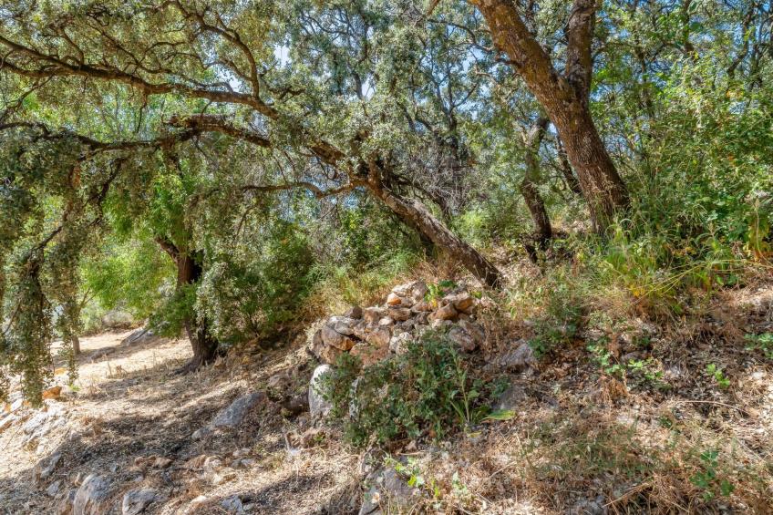 Cerro de la Cruz,charmantes Bauernhaus mit bester Aussicht,im Zentrum Andalusie - foto 44