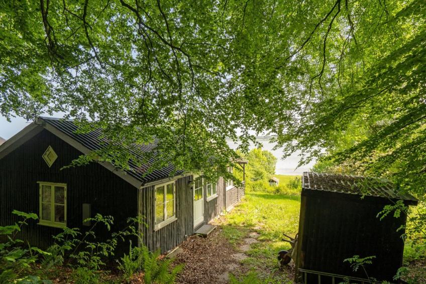 "Ginne" - 100m to the inlet in The Liim Fiord - foto 22