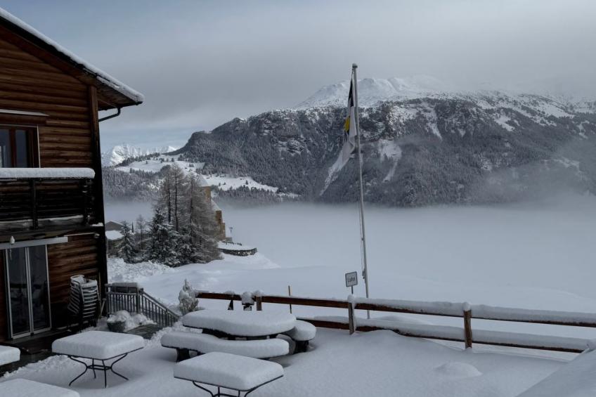 Poste viglia - foto 14