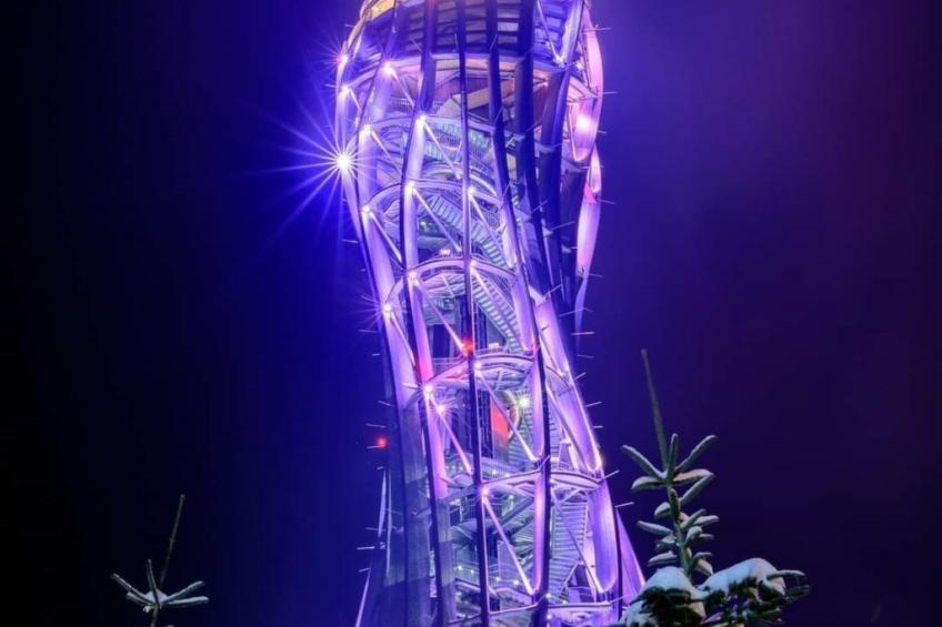 Gartenwohnung - foto 35