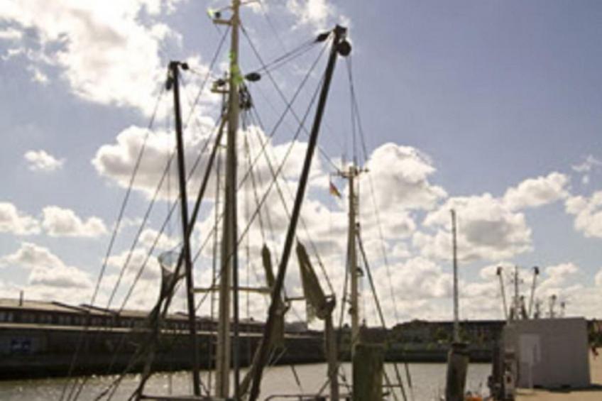 Großes Ferienhaus in Müggendorf mit Garten - foto 15