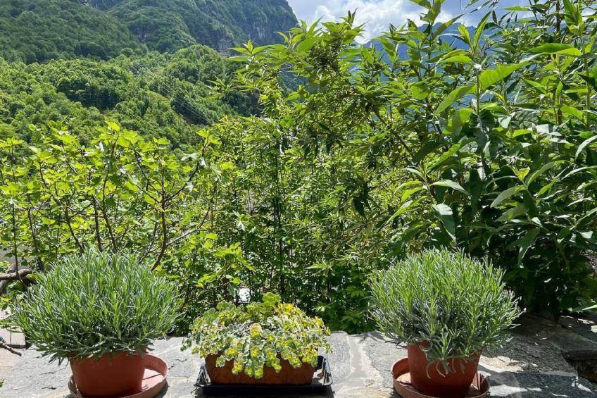 Rustico Nonno Milton - foto 4