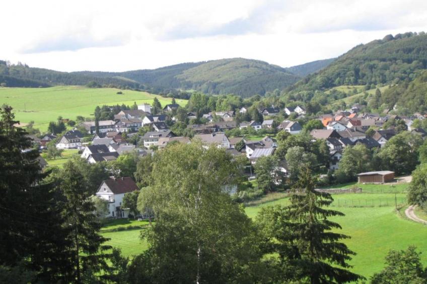 Liesen - foto 40
