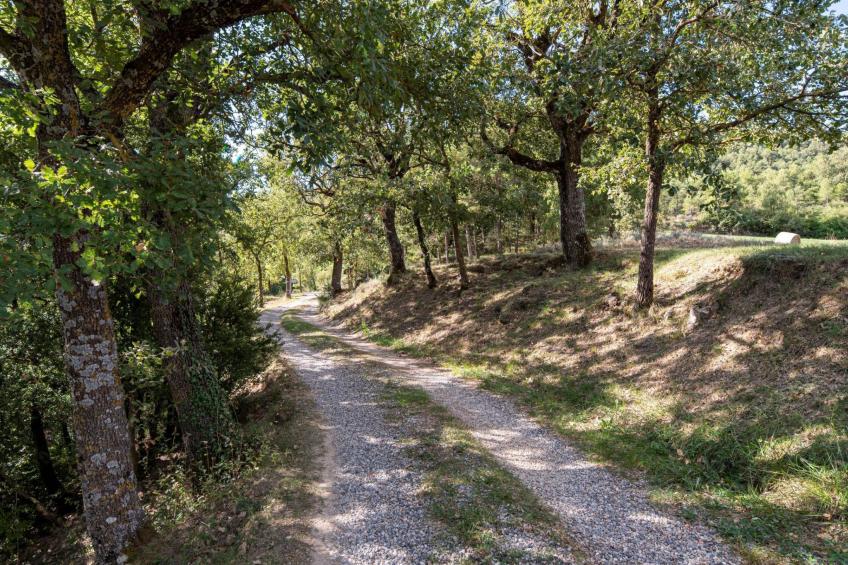 mit privatem Pool - foto 3