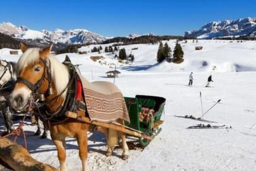 mit Terrasse auf einem Bauernhof - foto 12