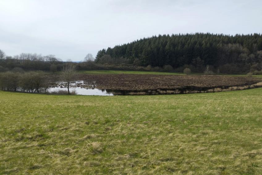 Ferienwohnung Winkel in der Vulkaneifel - foto 7