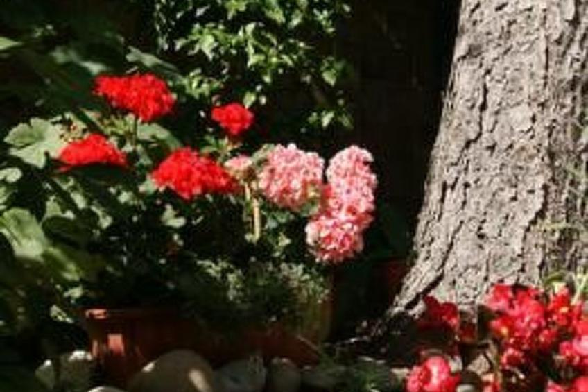 Kleine Dachwohnung - foto 11