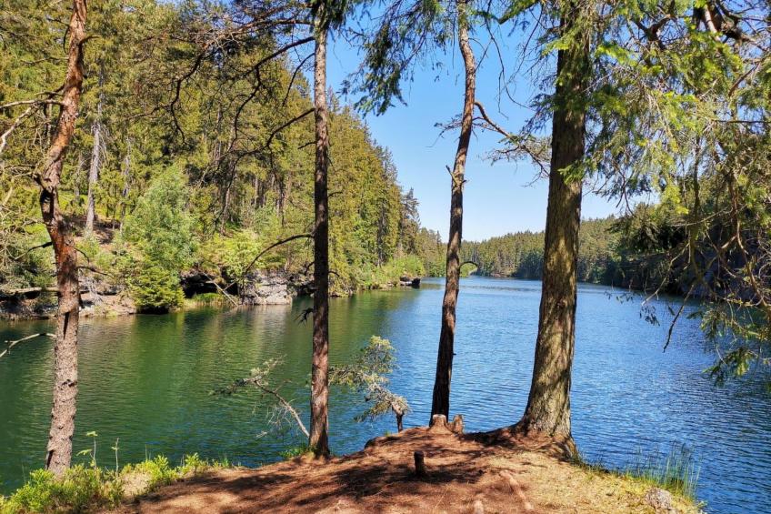 Thüringer Landhaus - foto 34