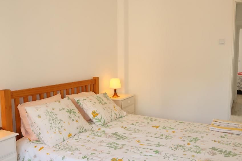 Mira Rocha - foto 16