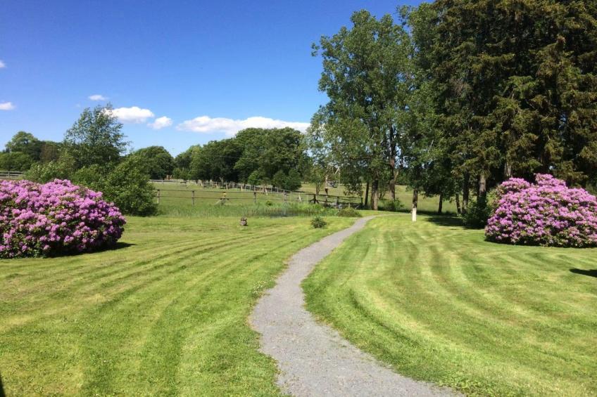 Hotel Harzhaus - Ferienhaus 4 - foto 20