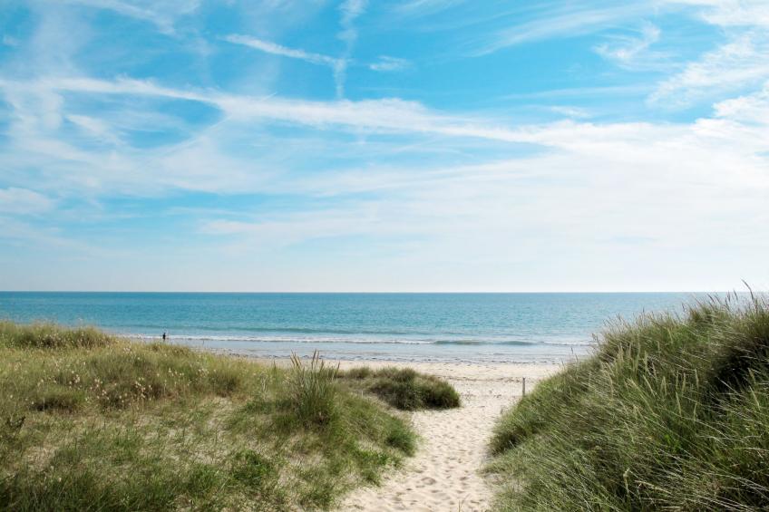 La Surprise - foto 22