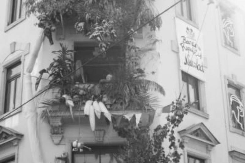 Apfeltraum - foto 13