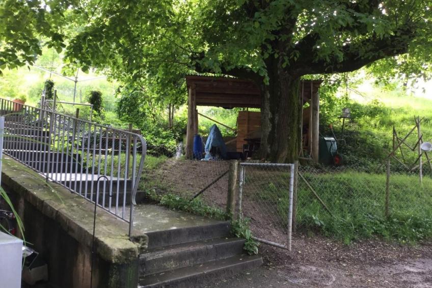 Hof unterer Dürrenberg / Langenbruck - foto 15