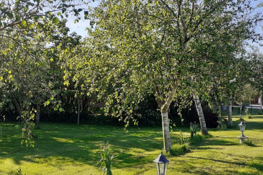 Sonnige Ferienwohnung in ländlicher Umgebung - foto 26