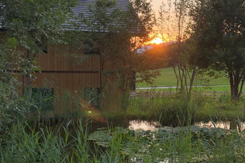 Nette Wohnung in Bad Aussee mit Garten und Grill und Bergblick - foto 4