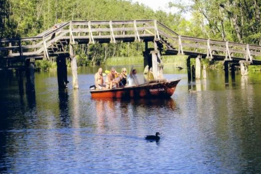 Bungalow Mecklenburgische Seenplatte - foto 2