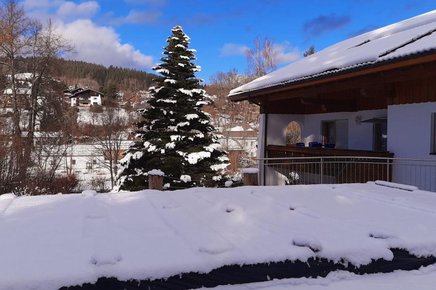 Seitz 2 in Bayerisch Eisenstein - foto 41