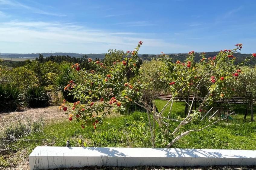 Landhaus mit Pool, in der Nähe von Montemor-o-Velho - foto 42
