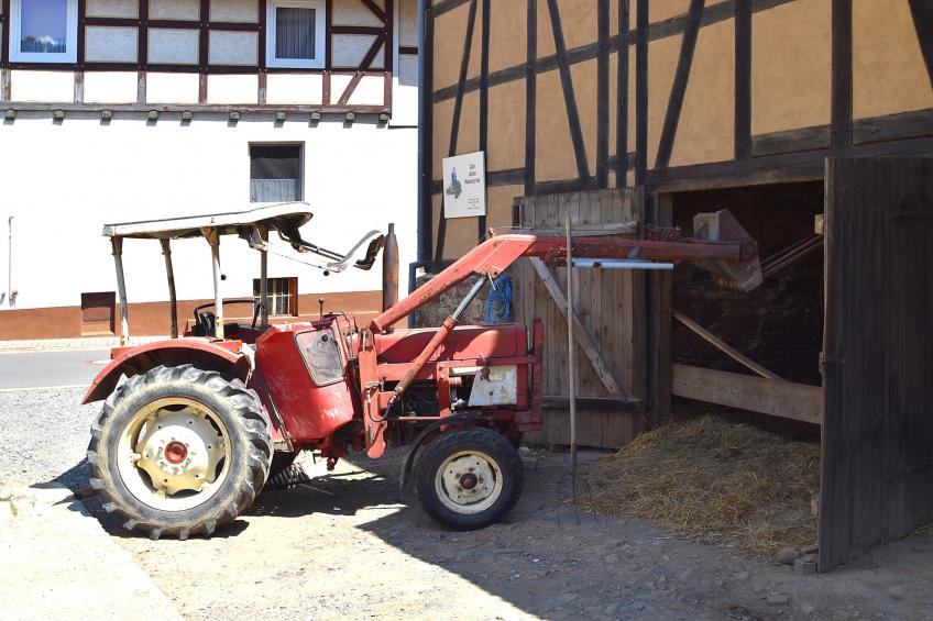 Am Ferienbauernhof - FW - foto 39