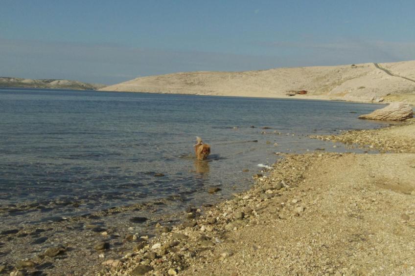 mit Blick auf das Wasser - foto 21