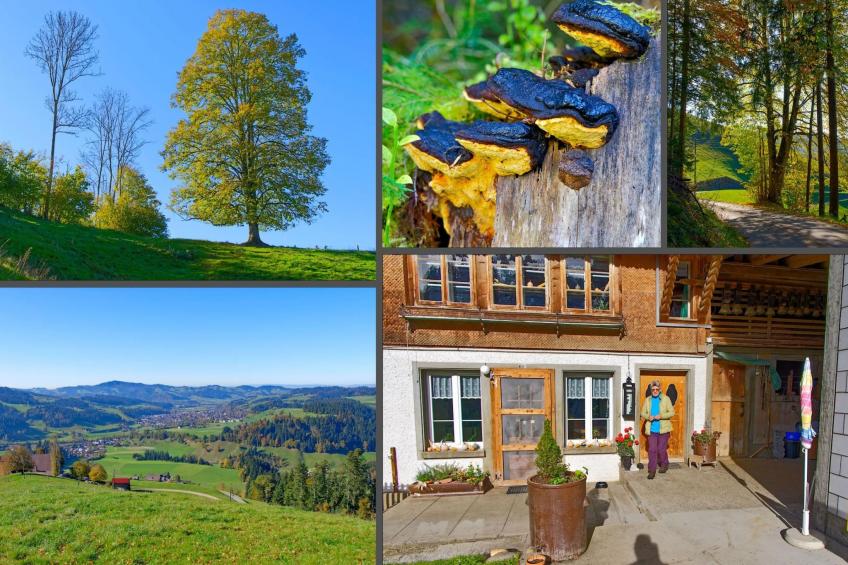 Emmental Ferien - foto 4