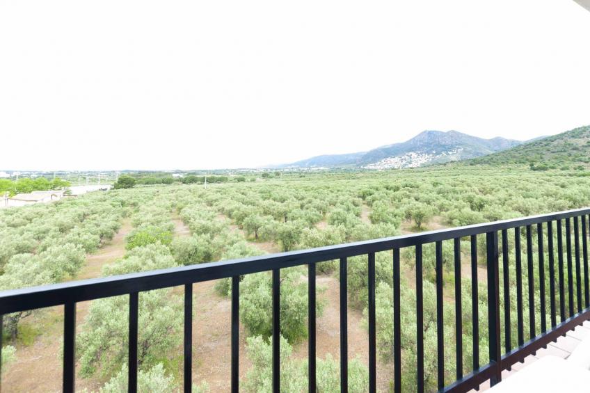 1141 MAS OLIVA con Piscina - foto 22