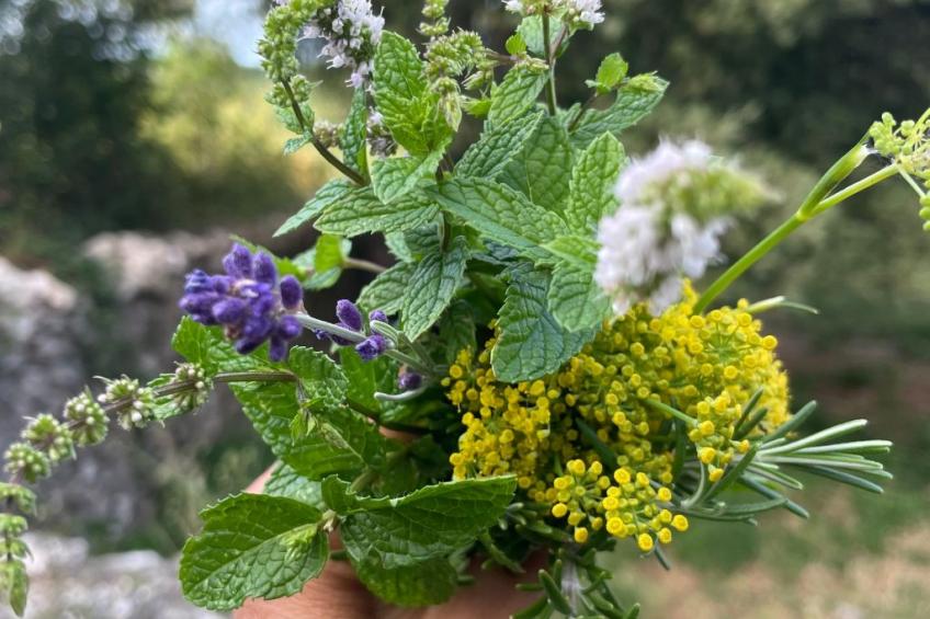 'Merula Antica Dimora' - foto 23